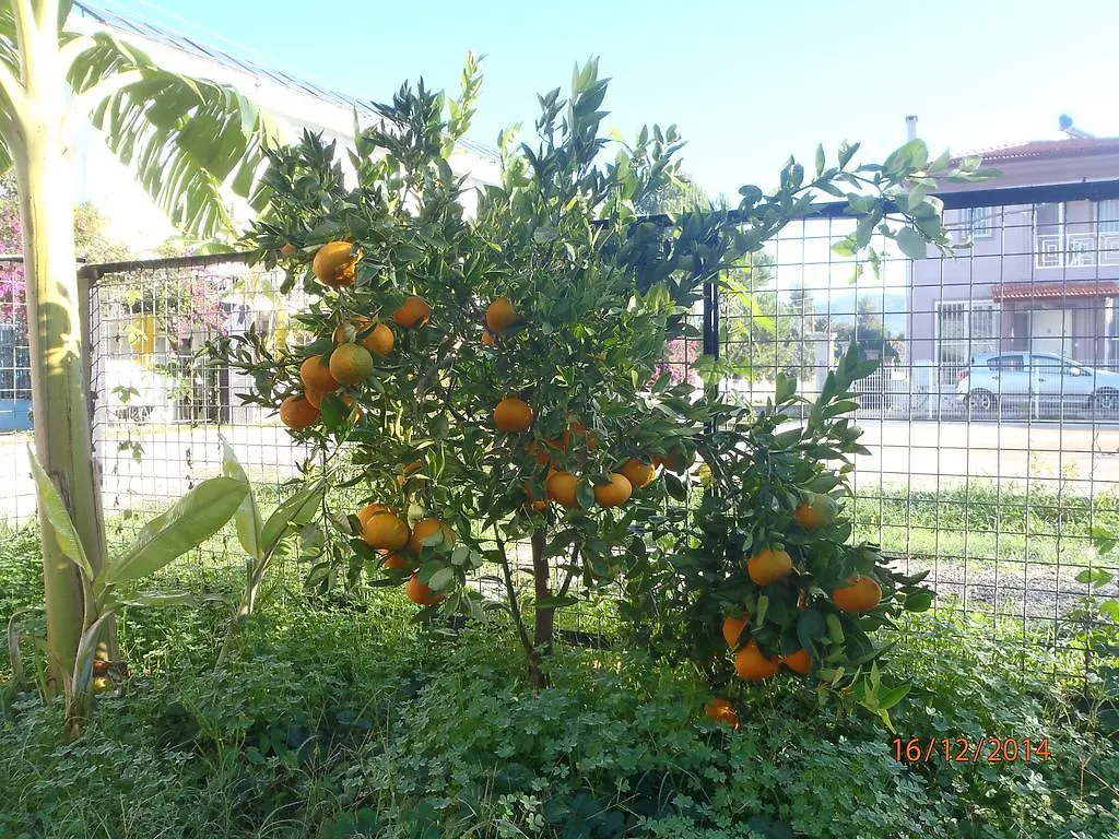 Sirin Pension Fethiye Bed & Breakfast