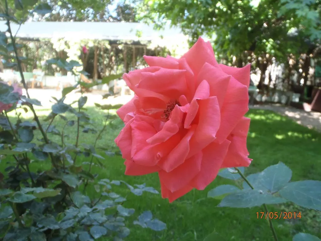 ** Bed & Breakfast Sirin Pension Fethiye Turkije
